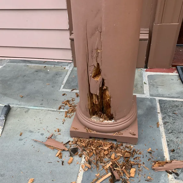 Architectural Trim restoration, Washington DC — photograph 18