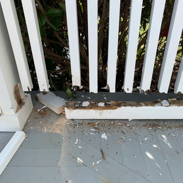 Architectural Trim restoration, Washington DC — photograph 20