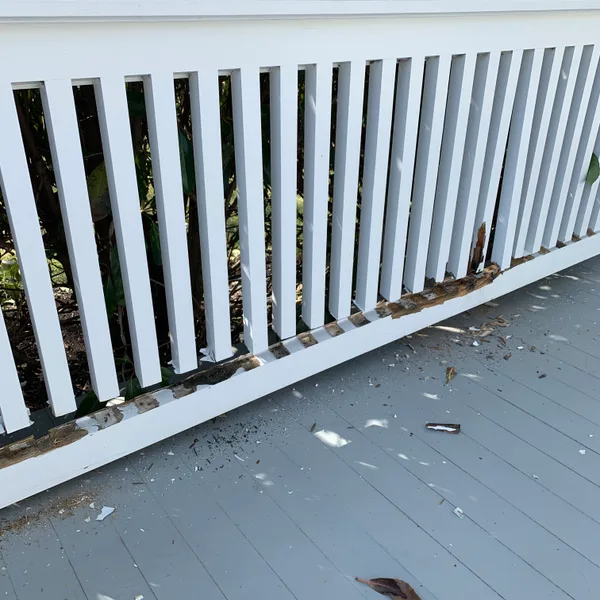 Architectural Trim restoration, Washington DC — photograph 21