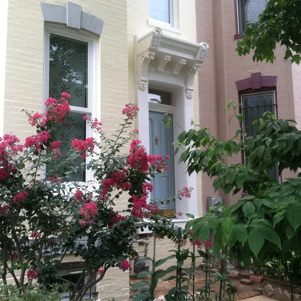 Transoms & Pediments restoration, Washington DC — photograph 1
